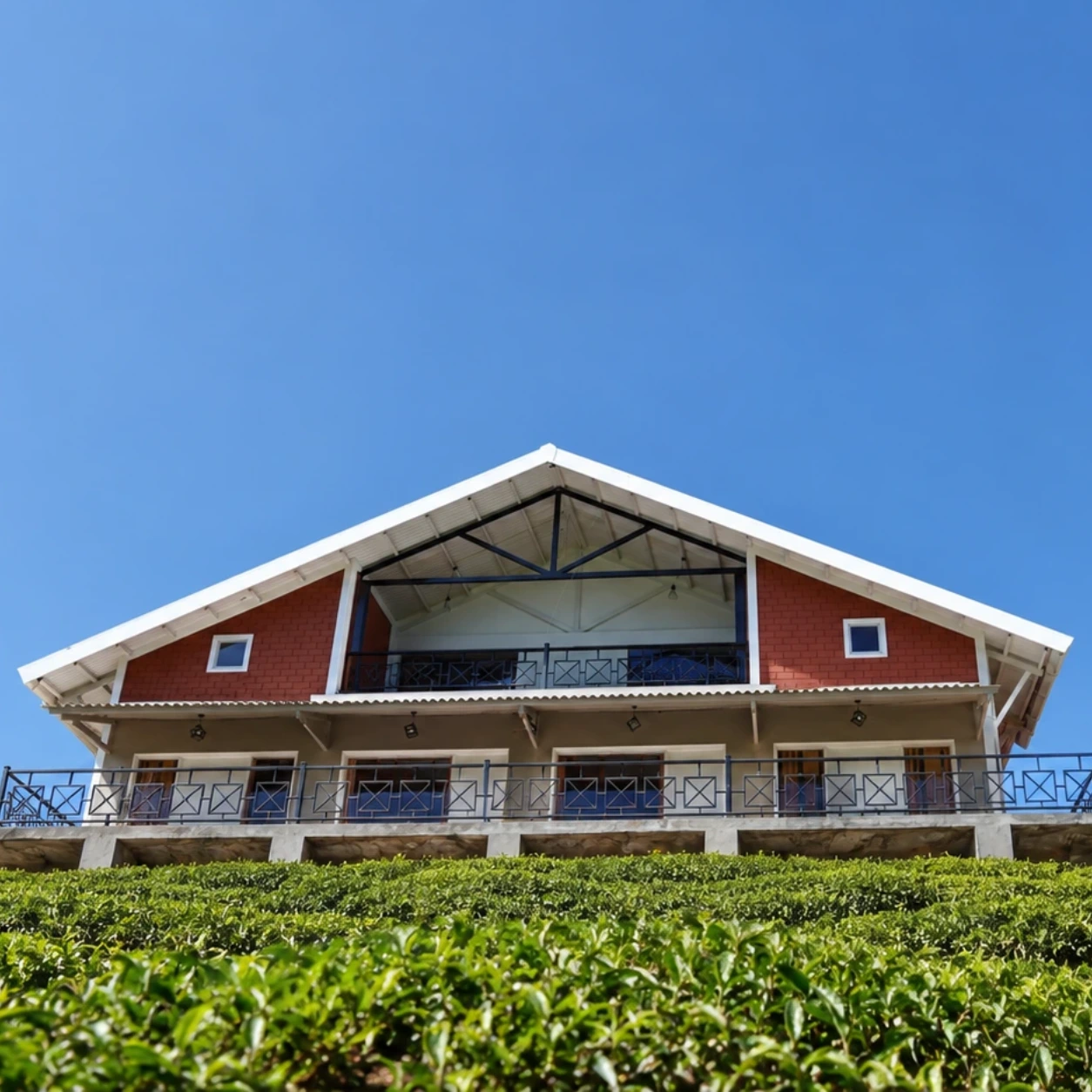 Tea Leaf Stays by Brown Tree