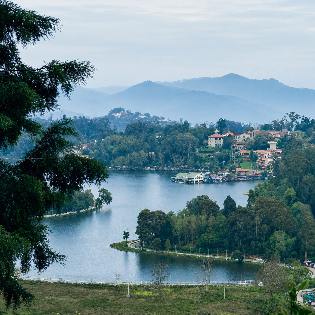 Kodaikanal Lake & Pine Forests